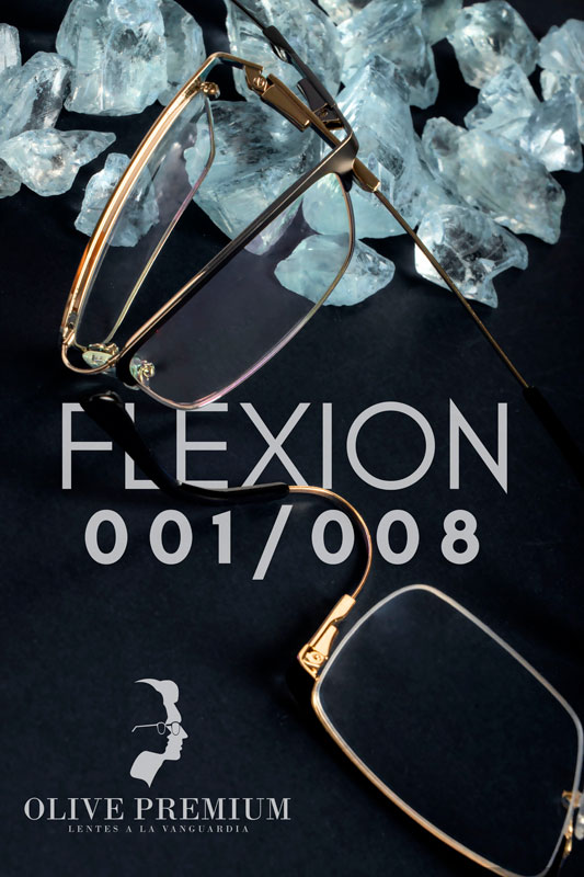 portada flexon 001-008